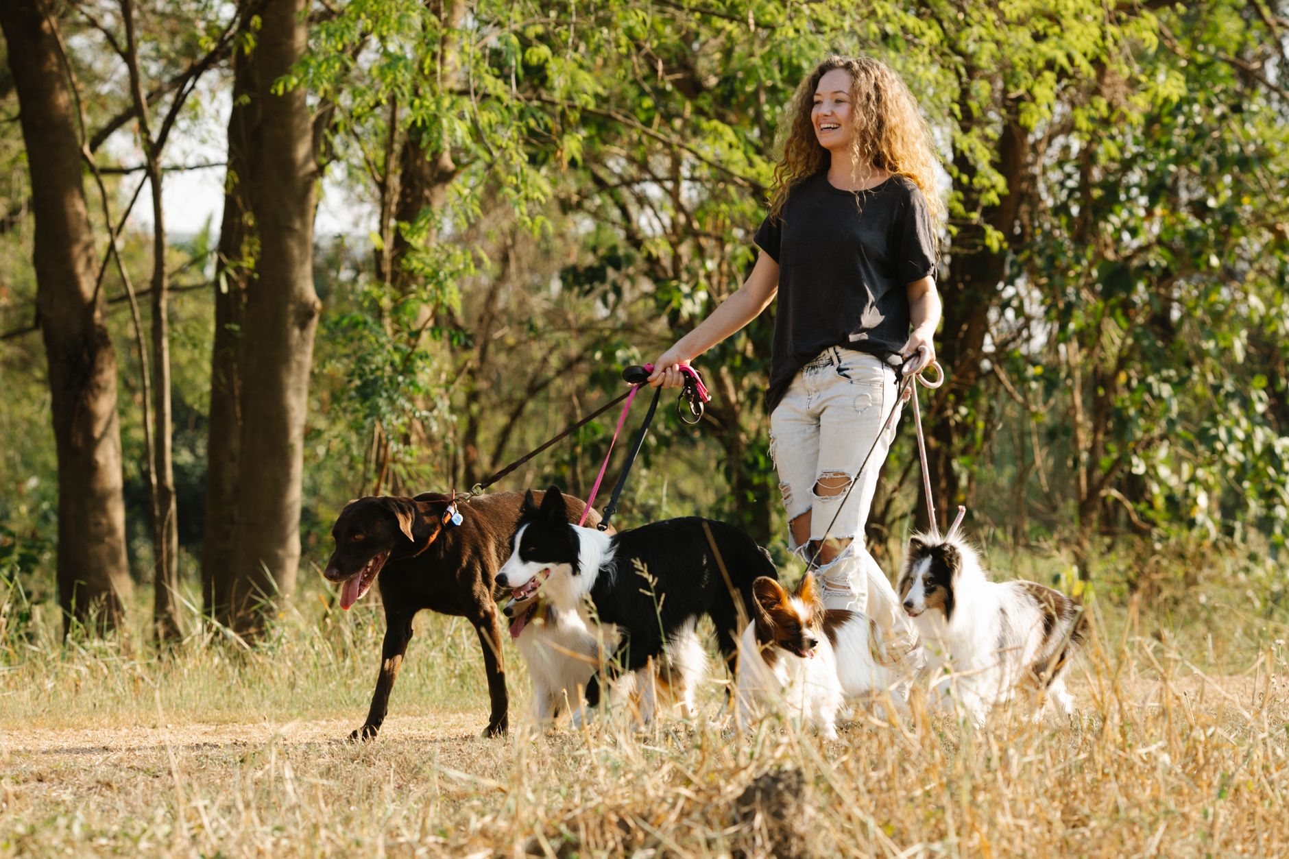 Passeador de cães