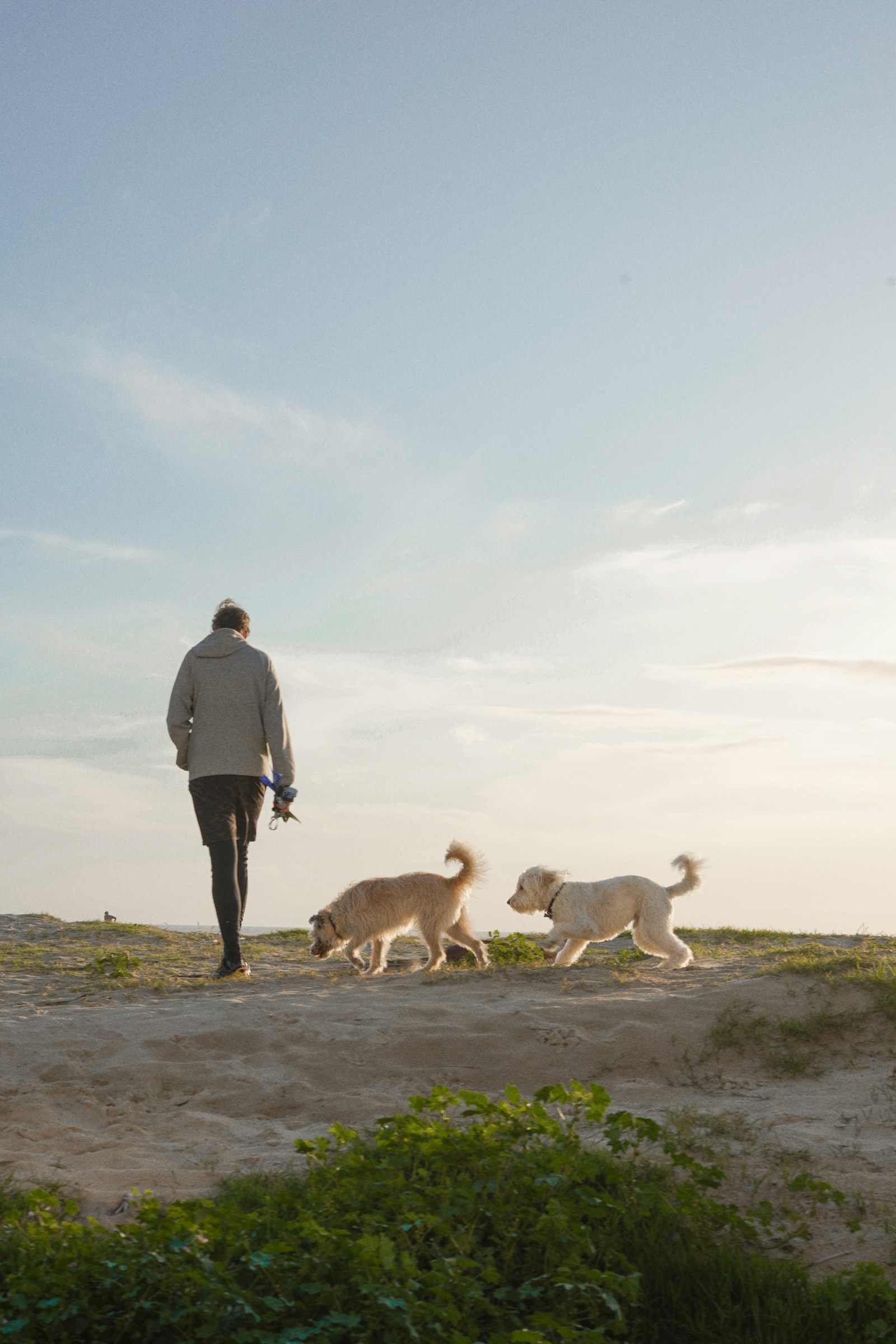 Luciano passeando com cães